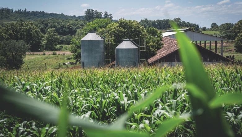 Agropecuárias pedem urgência em renegociação de dívidas rurais