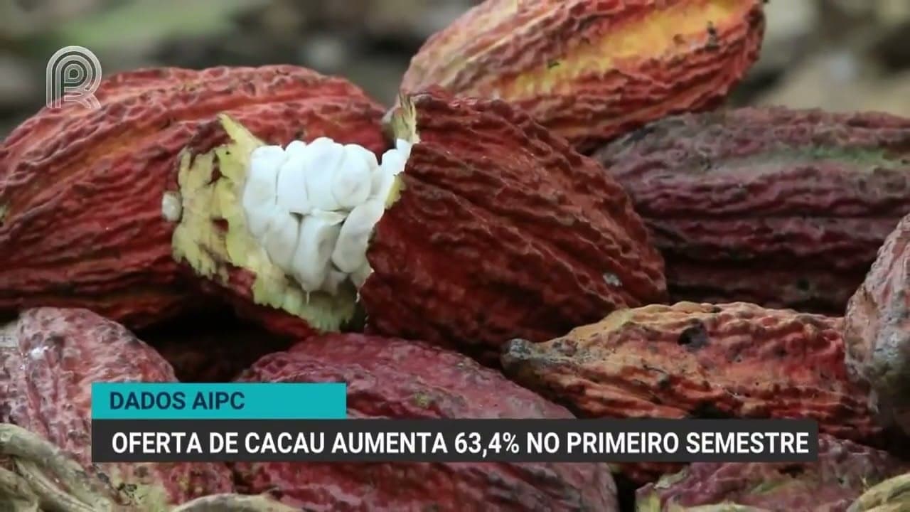 Brasil registra aumento de 63% na produção de cacau em 2026