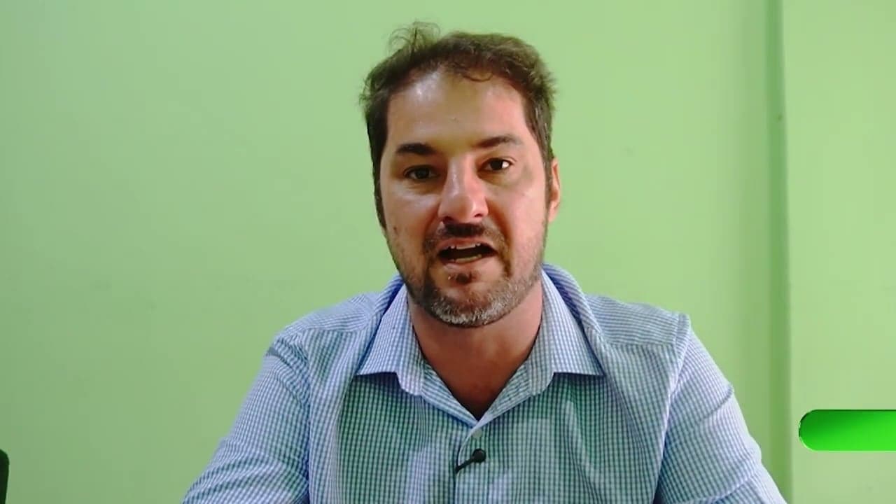 Colheita de milho em Mato Grosso enfrenta desafios e queda de preços