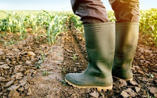 Reformas no Proagro garantem sustentabilidade, diz ministra