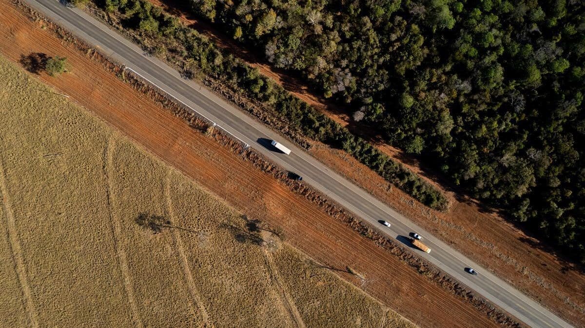 Estudo alerta para riscos de desmatamento com fim da Moratória da Soja