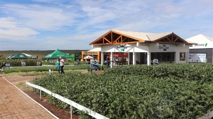 ExpoAgro Cotricampo impulsiona o agronegócio em Campo Novo