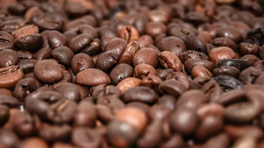 Cecafé promove rastreabilidade e monitoramento socioambiental