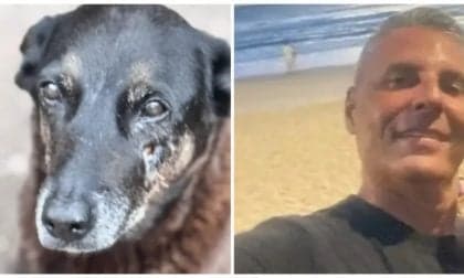 Indiciado do caso Orelha morre em Santa Catarina