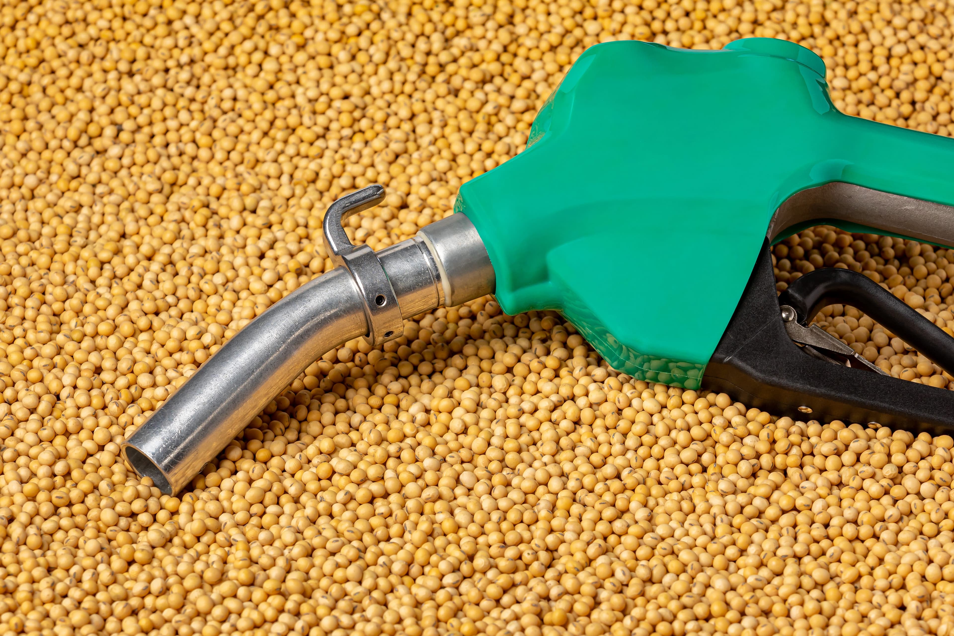 Governo proíbe importação de biodiesel e aposta em indústria local