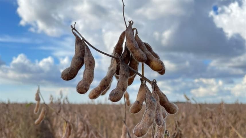 ATTO Sementes revela Integridade Projetada e plataforma de IA para agricultores