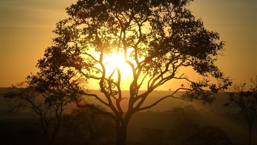 Inteligência artificial analisa impacto das mudanças climáticas no Brasil