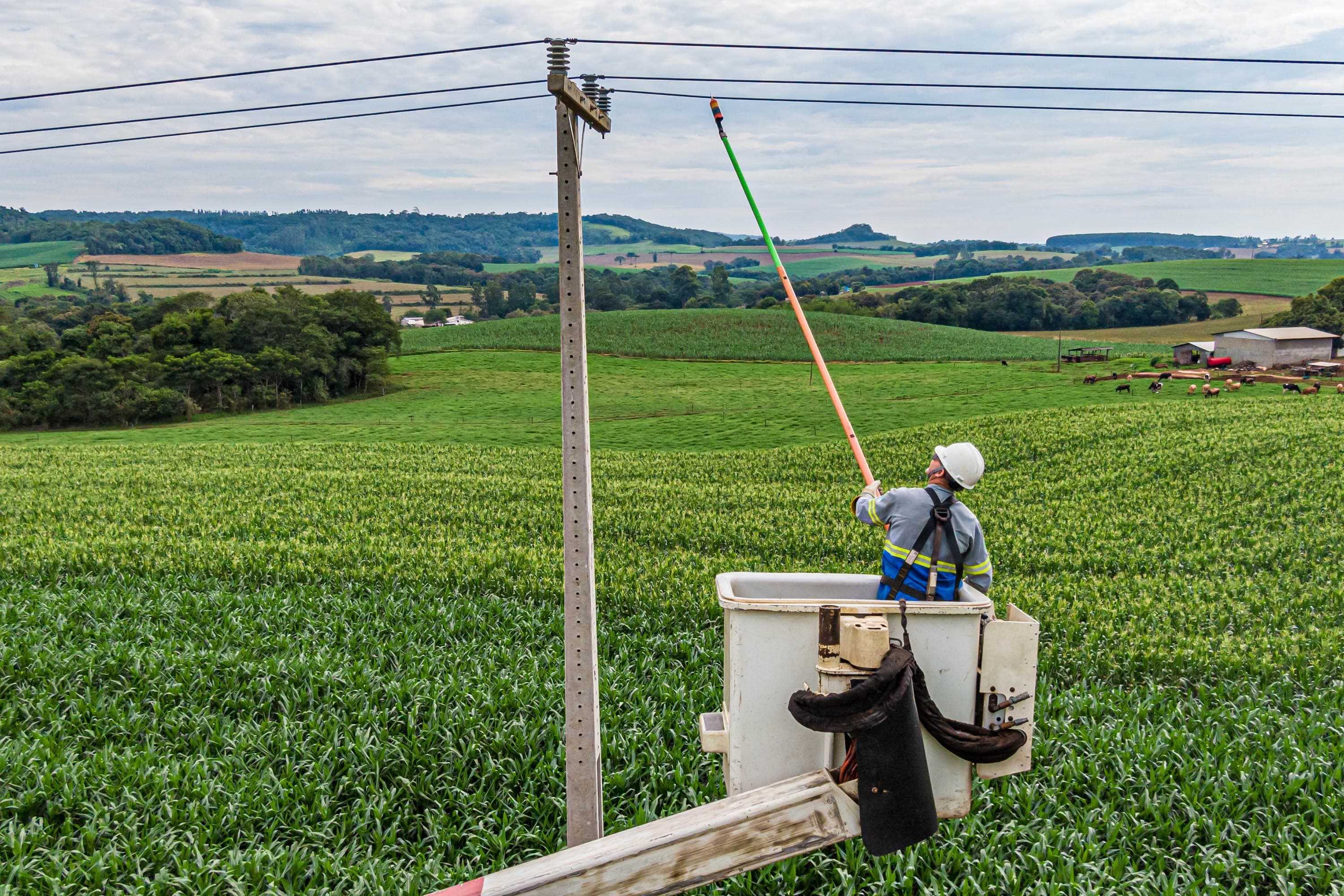 Copel Agro reduz prejuízos em energia no campo do Paraná