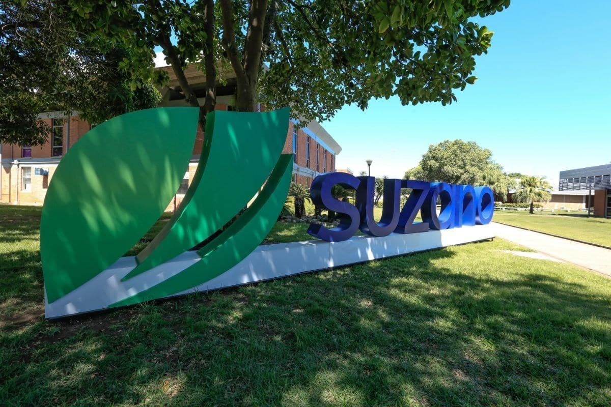 Suzano foca em eficiência e controle de custos no segundo semestre
