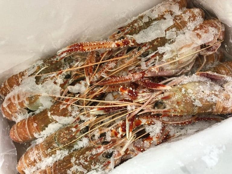 Ministério da Pesca estabelece novas regras para conservação do pescado