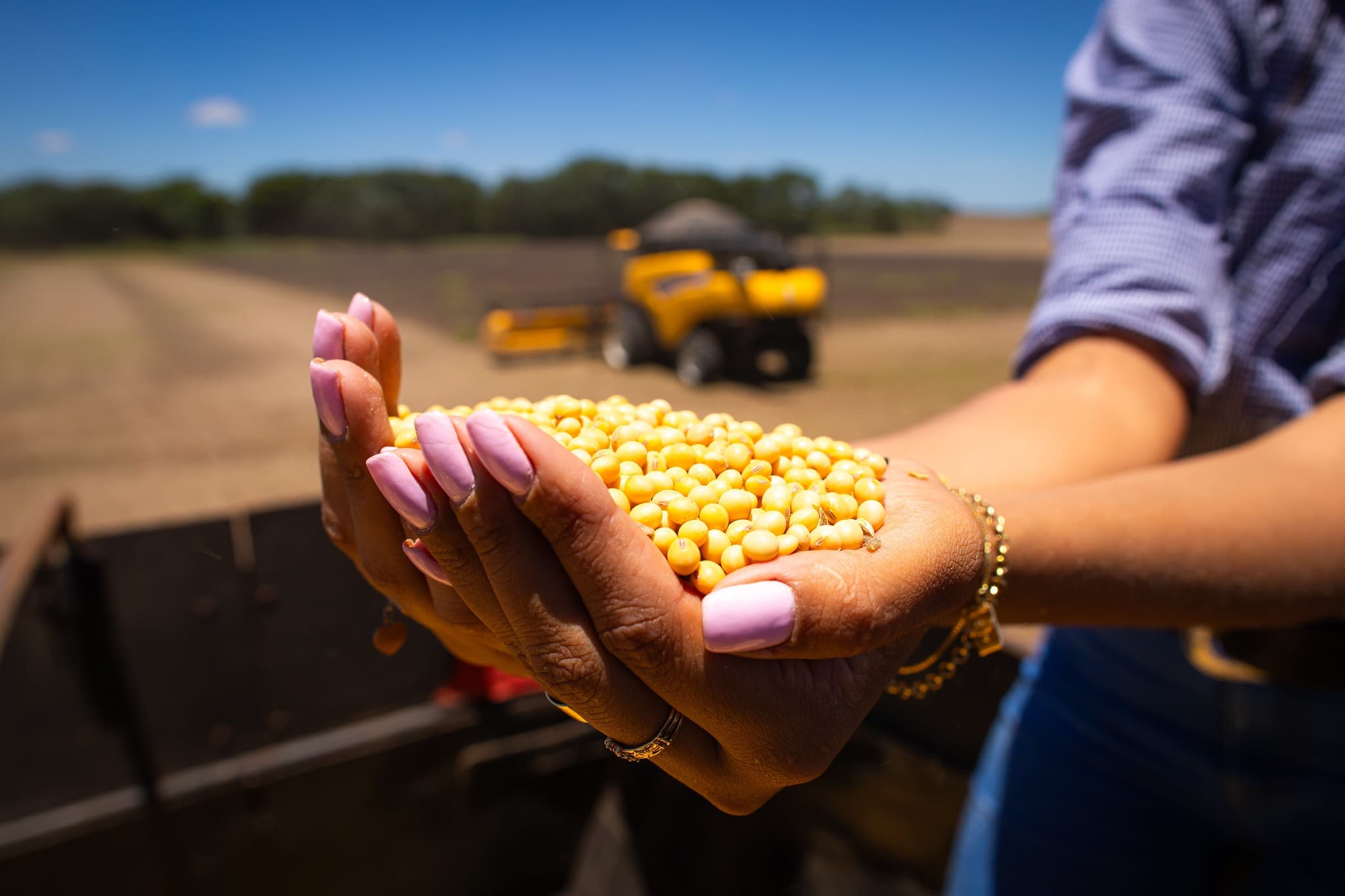 Produção de grãos no Brasil deve chegar a 353 milhões de toneladas