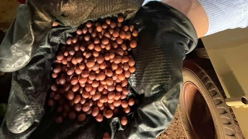 Nova linha de tratamento de sementes é lançada no Brasil