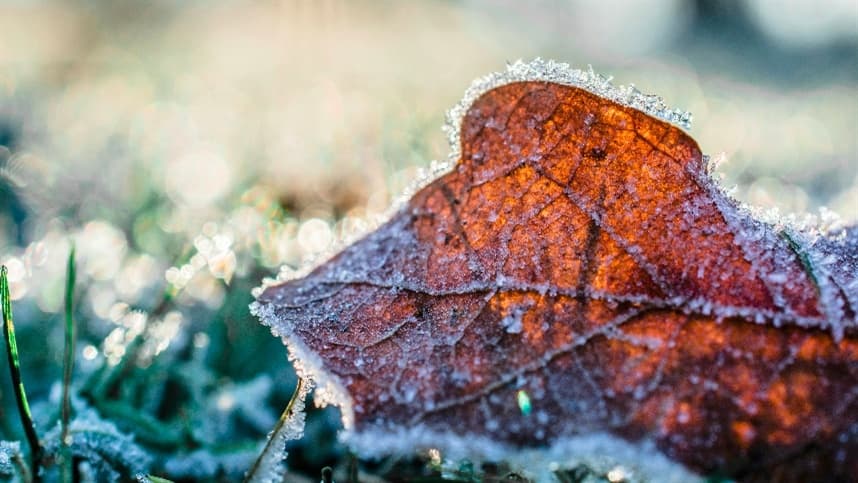 Previsão de chuvas intensas e temperaturas mais baixas na semana.