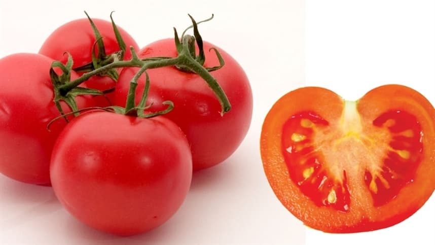Tomates sustentáveis e a importância da consciência ecológica