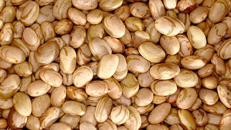 Feijão-carioca atinge recorde histórico em março, segundo Cepea