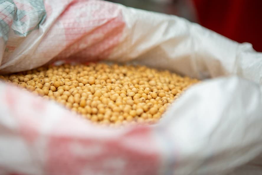 Mercado de soja permanece estável no início do pregão, com expectativa por dados do RS