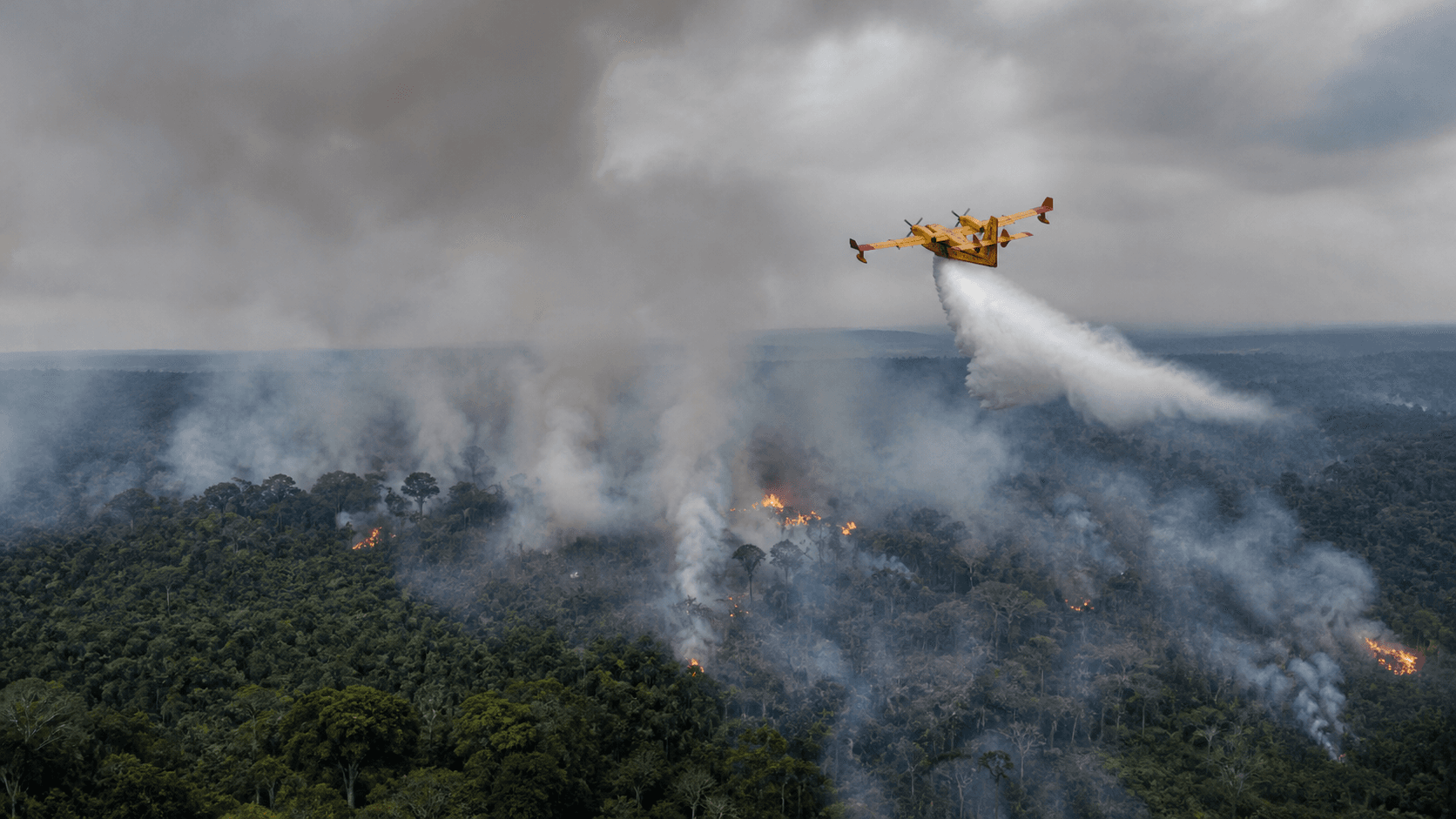Amazônia declara emergência para combater incêndios em 36 municípios