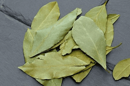 Dicas para Aromatizar sua Casa com Folha de Louro