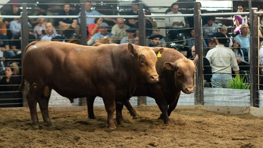 Expectativas Altas para a 93ª Exposição Agropecuária de Dom Pedrito