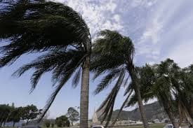 Alerta Meteorológico: Ventos Fortes e Queda de Árvores no Rio de Janeiro