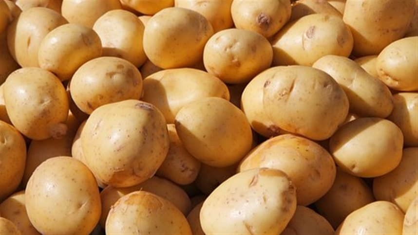 Terceira semana seguida: preços da batata continuam em queda no mercado atacadista
