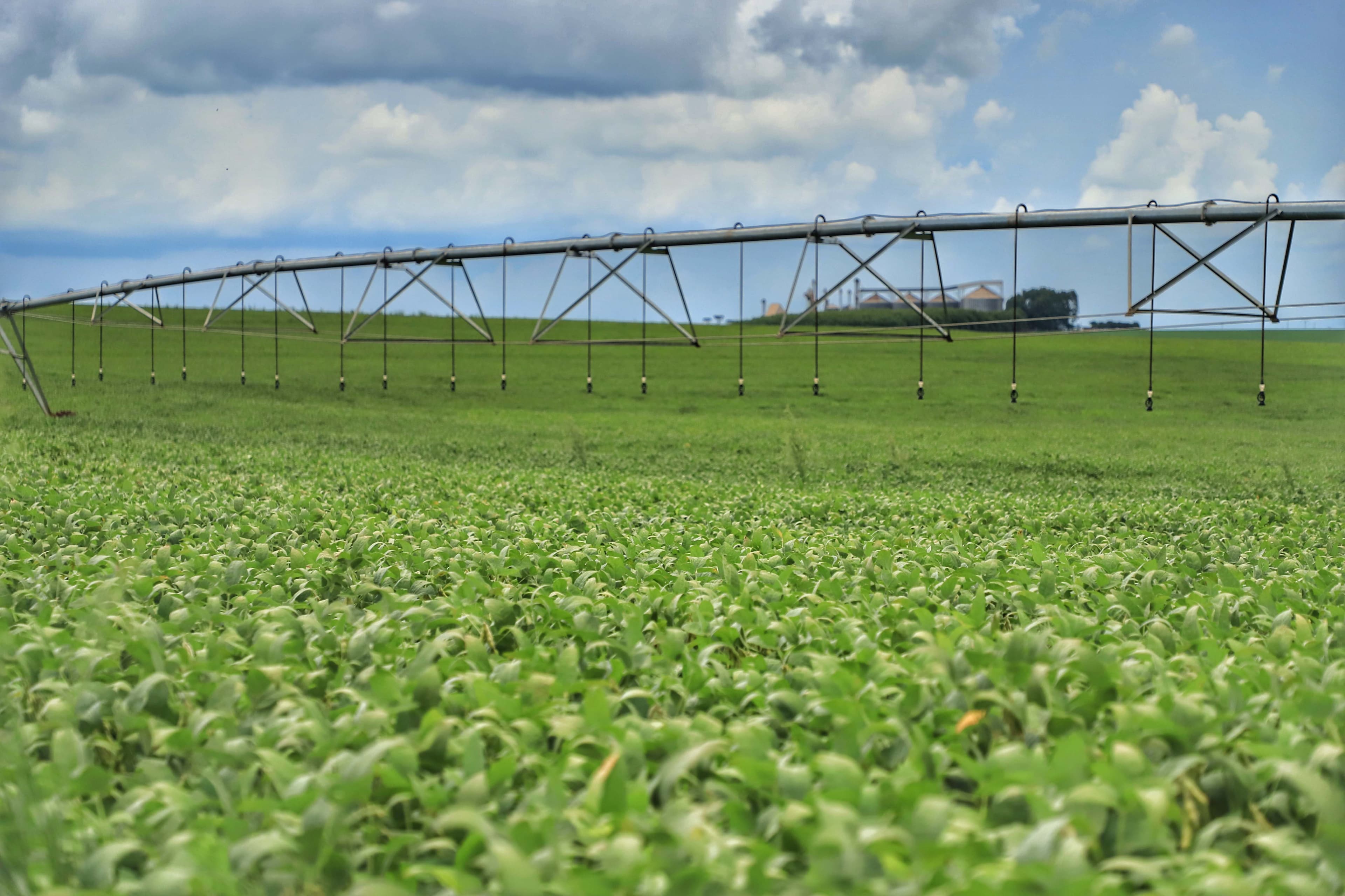 Área plantada com soja no Brasil alcança 4,4% na temporada 2026/27