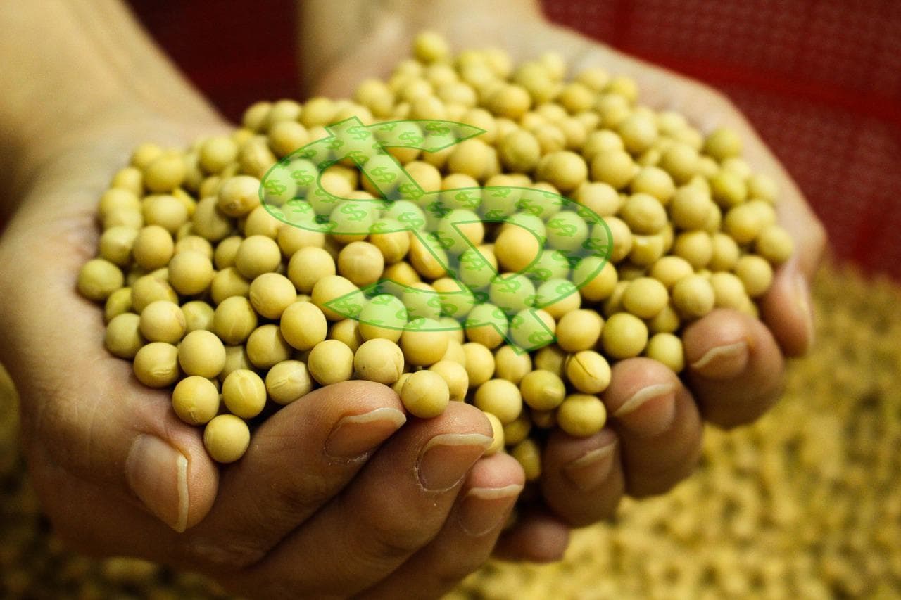 VBP agropecuário deve cair 4,6% em 2026, diz Ministério da Agricultura
