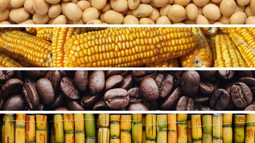 Movimentação de R$ 140 bilhões: cinco culturas-âncoras em destaque