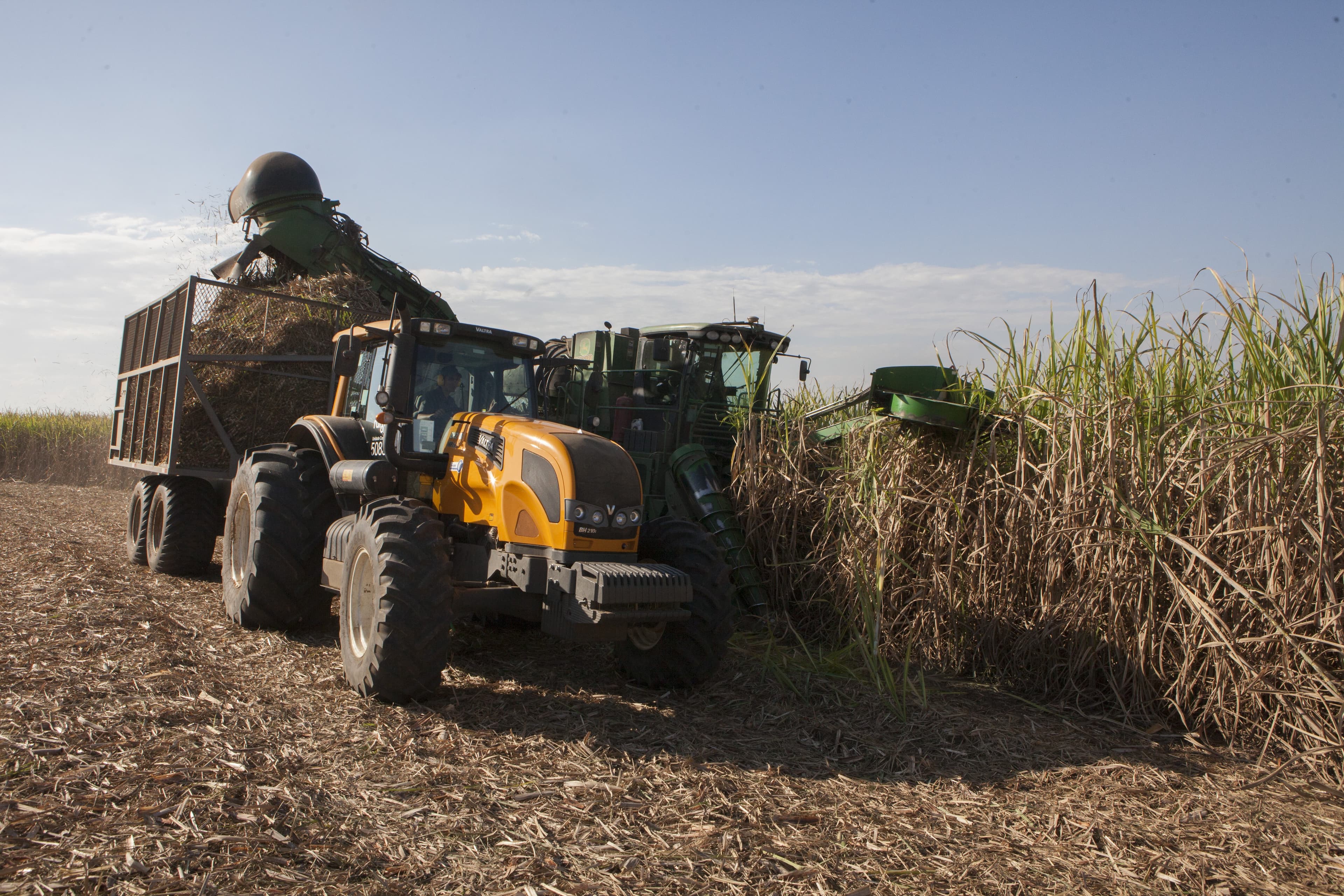 Cenário de etanol em alta reduz preços de açúcar no Brasil