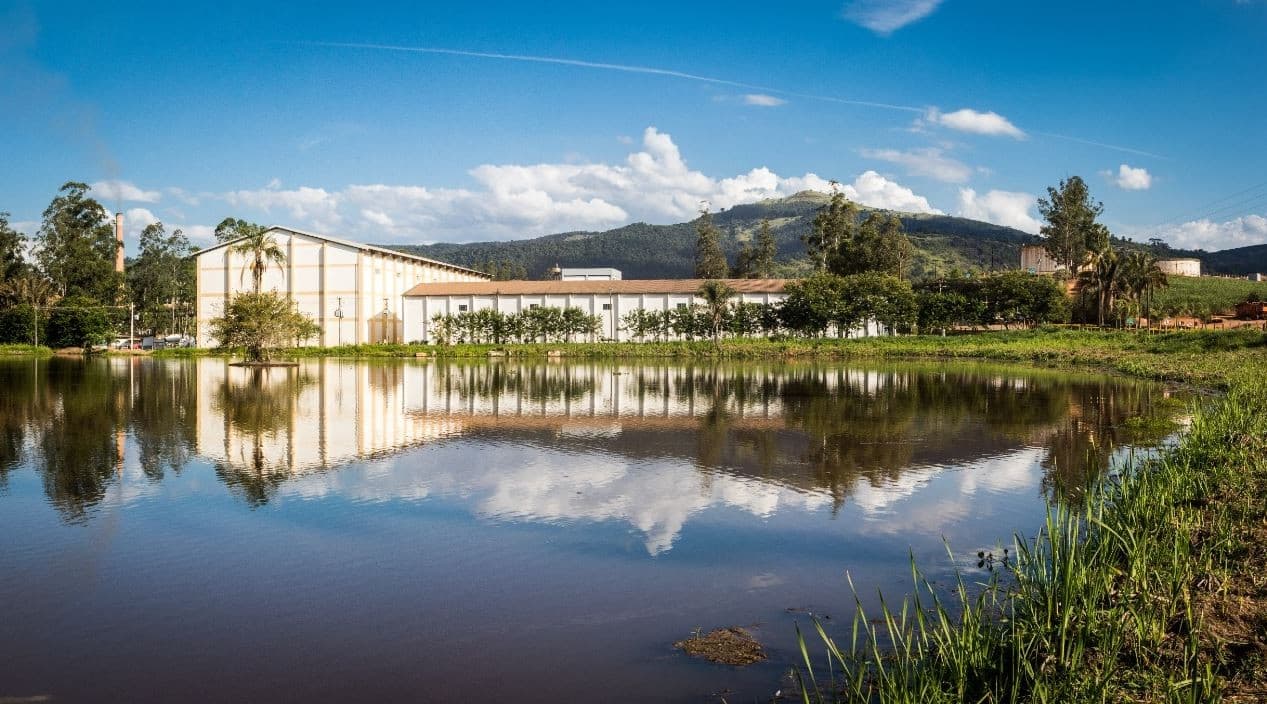 Adecoagro vende Usina Monte Alegre para fundo de investimento