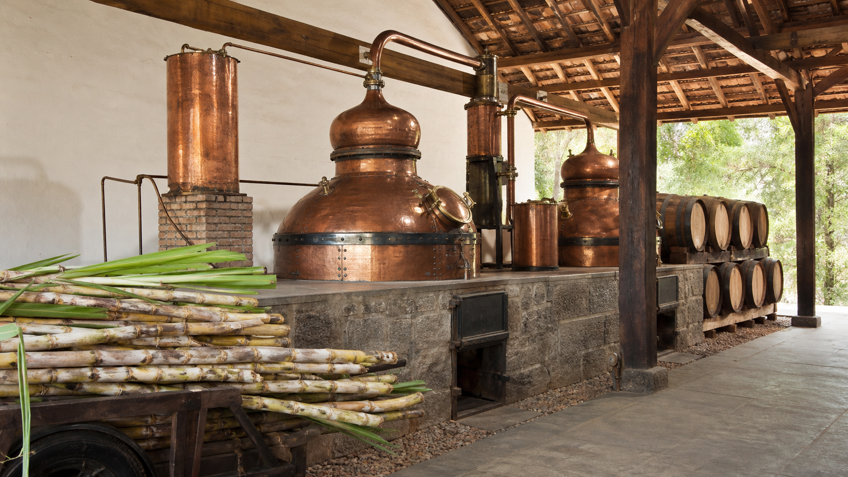 Anuário da Cachaça 2026 revela crescimento do setor em 2025