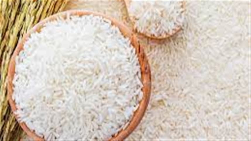 Excesso de umidade compromete produção de arroz