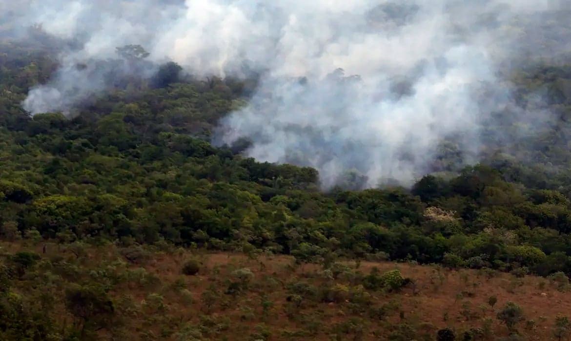 Incêndios na Amazônia atingem menor nível histórico em 2025