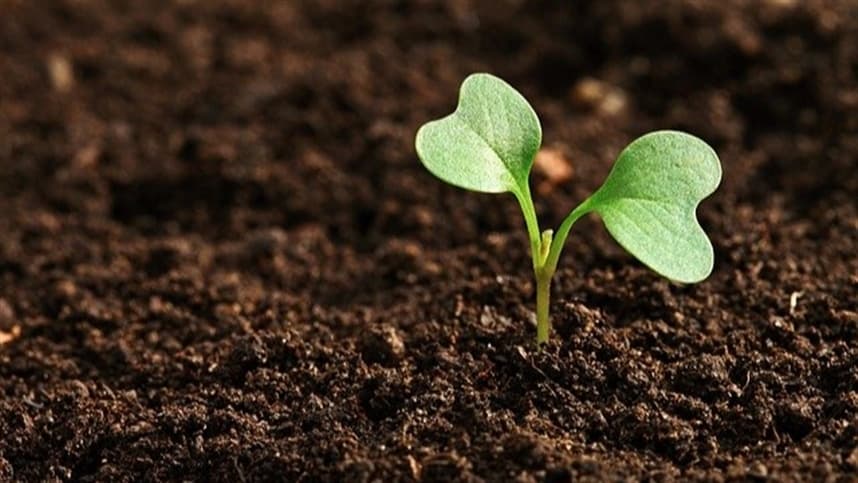 Nova linha de produtos lançados com base em matrizes biobotânicas.