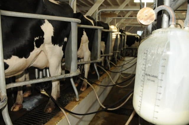 Automação na pecuária leiteira avança com treinamento em Paraná