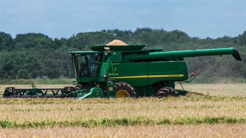 Qualidade na produção de arroz é destaque em diversas regiões