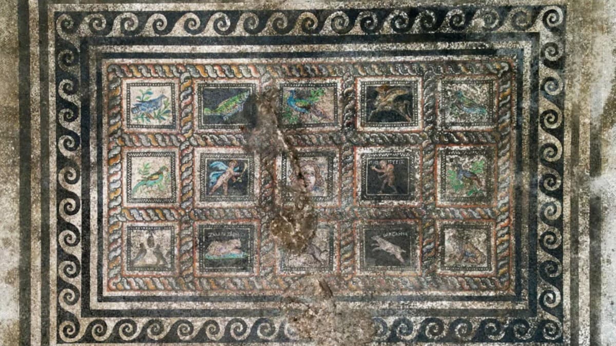 Descoberta de mosaico na Turquia revela animais com nomes antigos