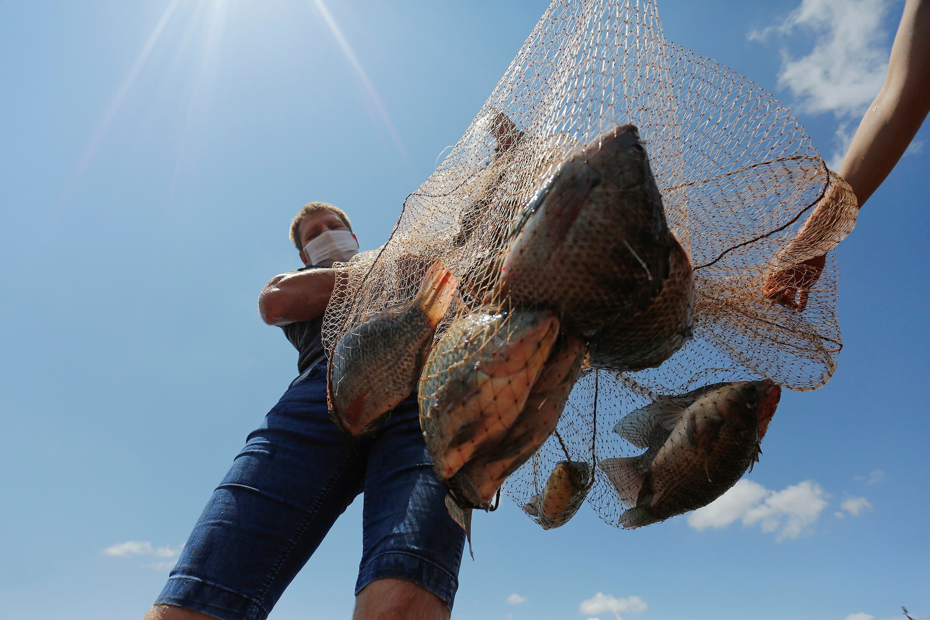 Setor de pescados otimista com possibilidade de reabertura da UE
