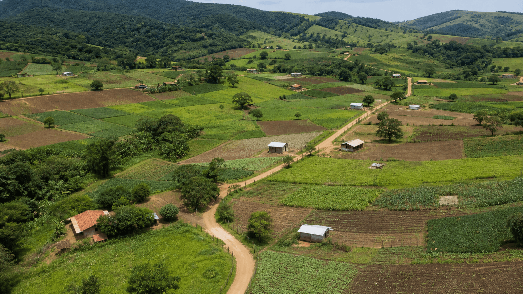 MST Realiza Ato pela Reforma Agrária em Belo Horizonte
