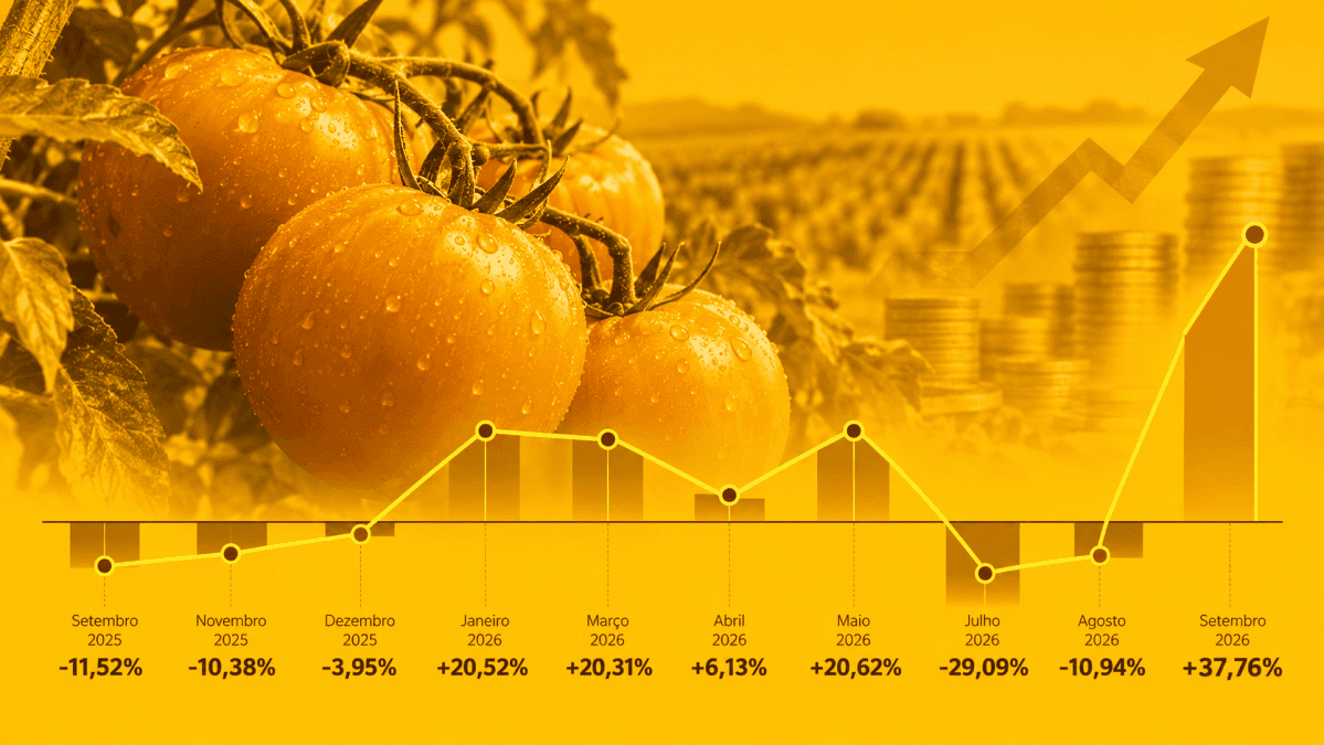 Oscilações de preços do tomate marcam relatórios do IPCA em 2026