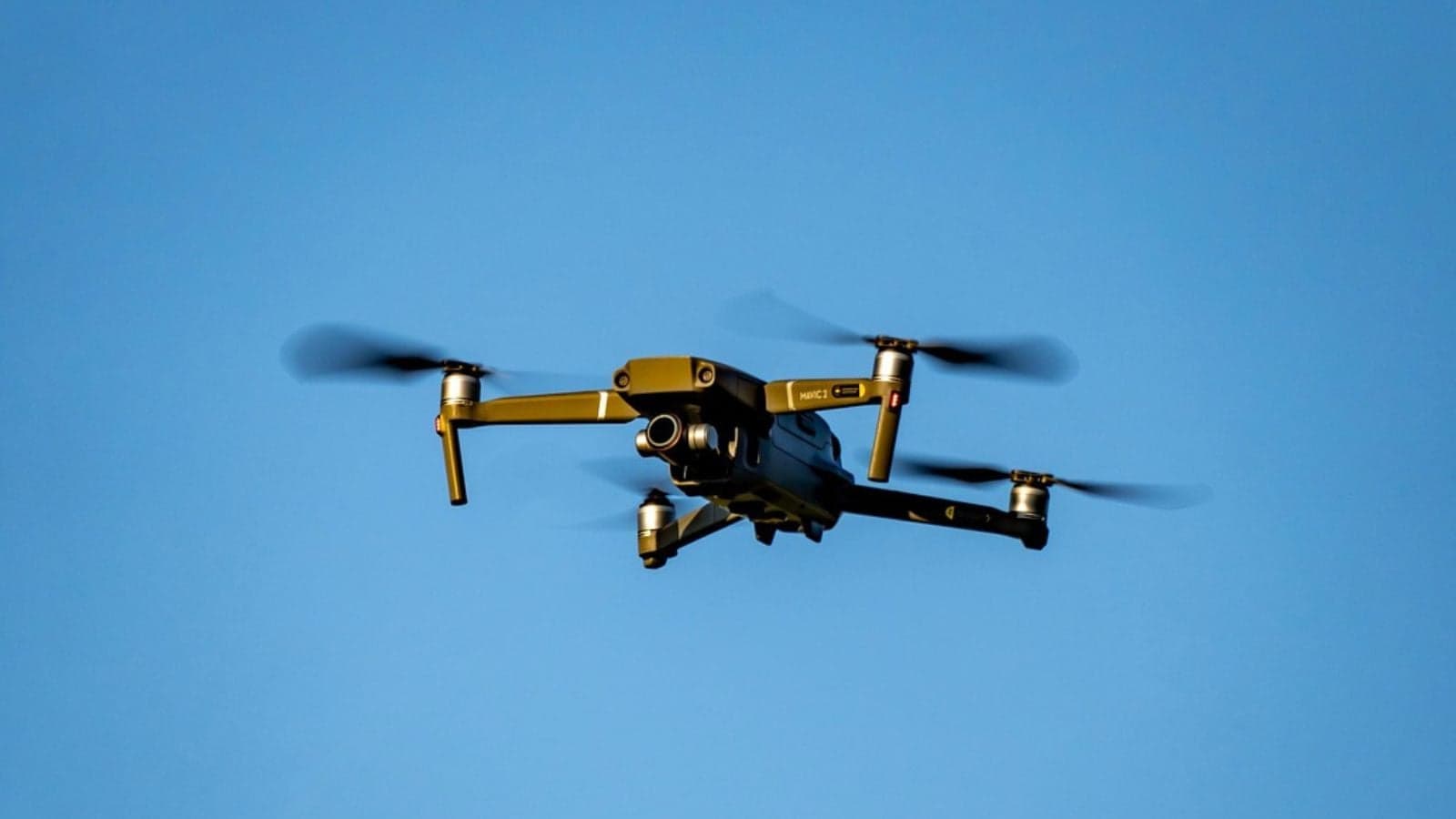 Drones e Inteligência Artificial Revolucionam Manejo de Pastagens no Brasil