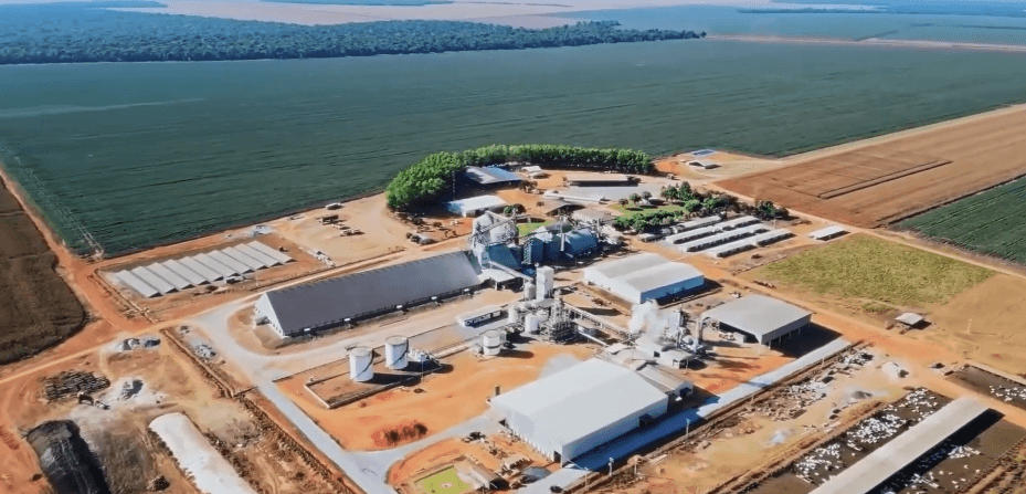Abertura Nacional do Plantio da Soja acontecerá em setembro