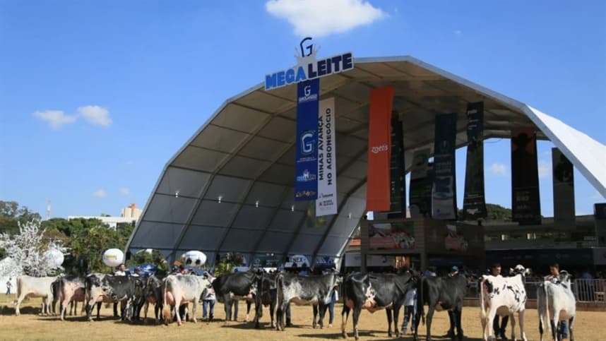 Megaleite 2026 em Belo Horizonte promete R$ 300 milhões em negócios