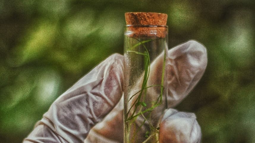 Brasil lidera crescimento global em bioinsumos para agricultura