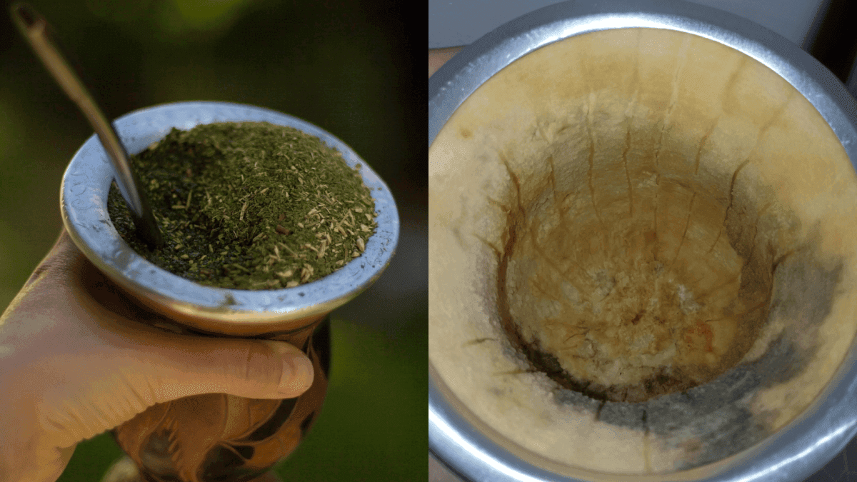 Cuidados na Higienização do Chimarrão Evitam Doenças