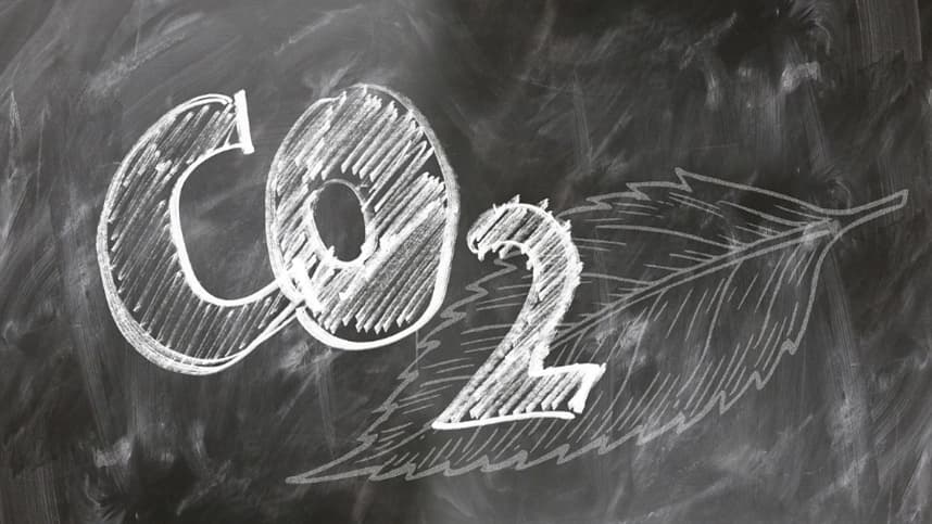 Perspectiva positiva para o crescimento do mercado de créditos de carbono