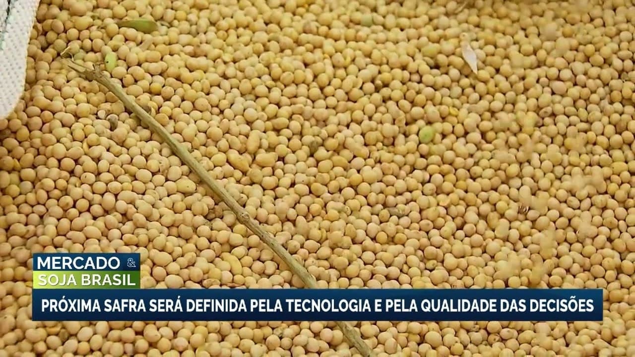 Safra de soja no Brasil: tecnologia e estratégia como prioridades