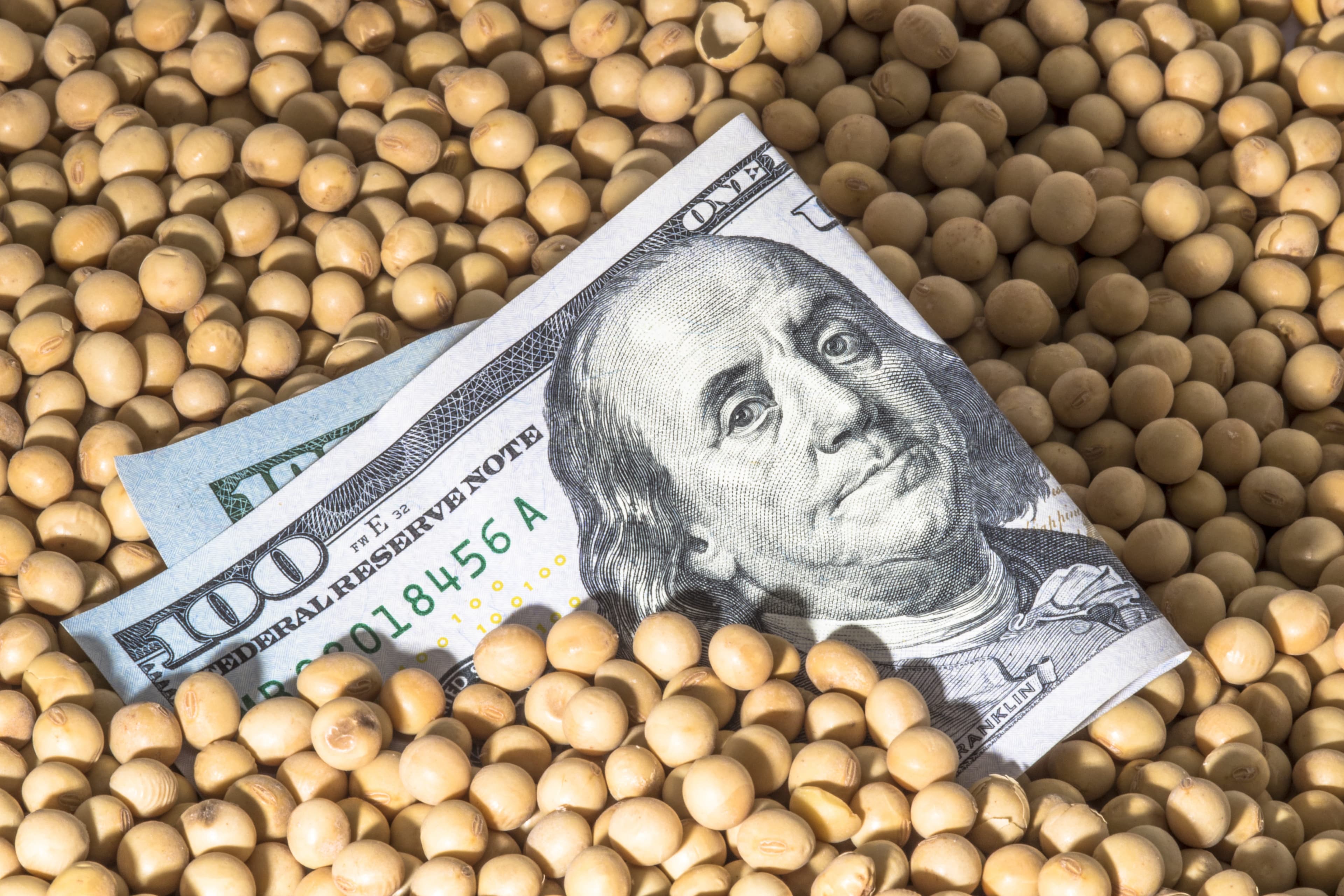 Comercialização de soja e milho no Brasil cresce após valorização do dólar