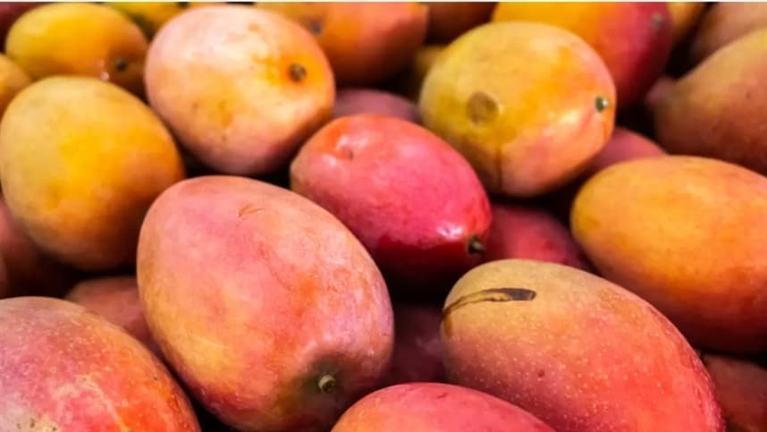 Problema de mancha bacteriana identificado em mangas argentinas