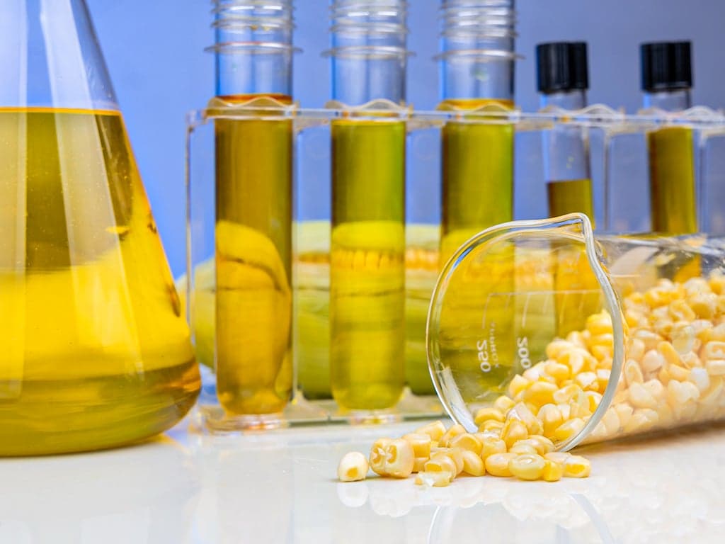 Crescimento do etanol de milho deve impactar mercado em 2026